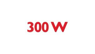 带 2 档速度的 300 瓦榨汁机