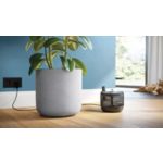 Осигурете на вашата котка течаща вода, както е естествено.