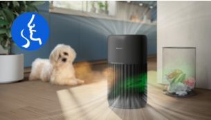 F&auml;ngt Ger&uuml;che und gasf&ouml;rmige Schadstoffe ein