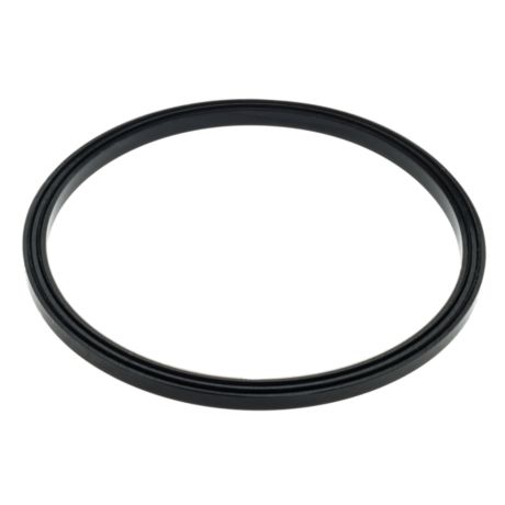 CP6601/01  Sealing ring I