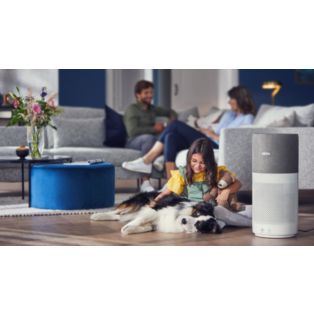 Purificateur d'air pour pièces XXL