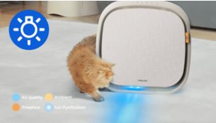 Chế độ phản hồi kh&ocirc;ng kh&iacute; v&agrave; tương t&aacute;c