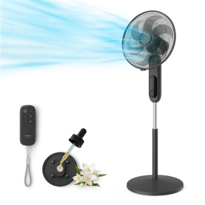 Philips Philips