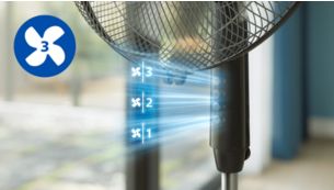 Customize your comfort with adjustable speeds