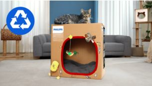 Bao b&igrave; th&acirc;n thiện với m&ocirc;i trường