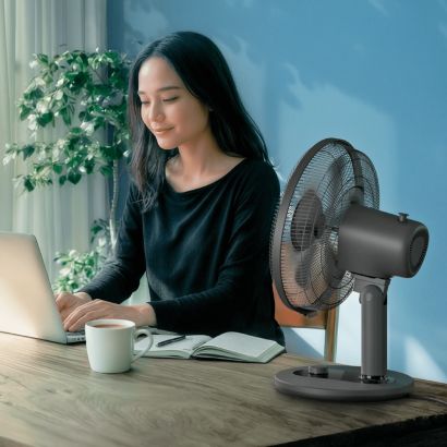 Philips Philips stolni ventilator serije 1000