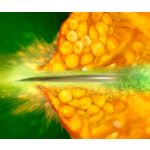 Deliciously smooth and finely blended results