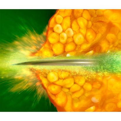 Philips Avance Collection