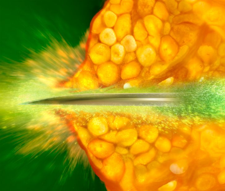 Philips Avance Collection