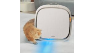 創新「聲光吸引吸力」