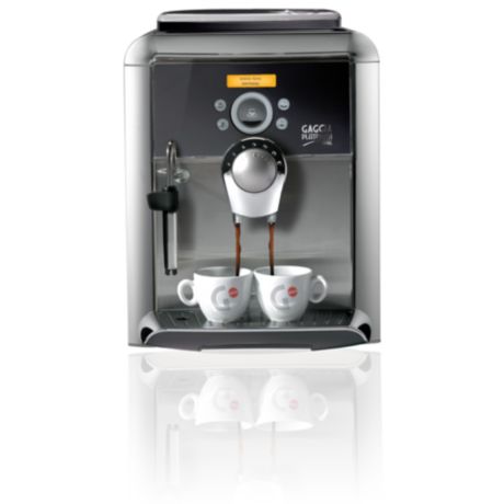 10002008 Gaggia 10002008