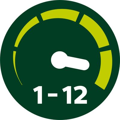12 velocidades