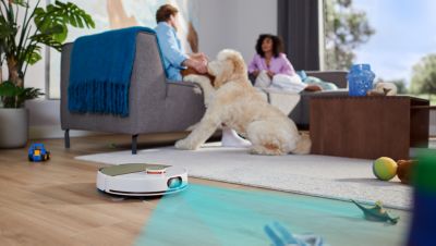 Tuvastab ja väldib väikseid esemeid, näiteks jalatseid või mänguasju