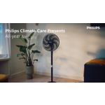 Tylus ir galingas. Stilingas ir universalus.