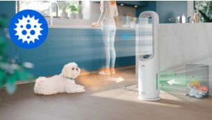 Removes allergens, bacteria, viruses, smells, and gases