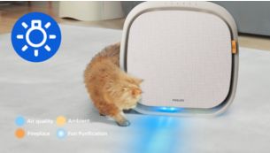 Chế độ ánh sáng cho phản hồi không khí và tương tác vui vẻ
