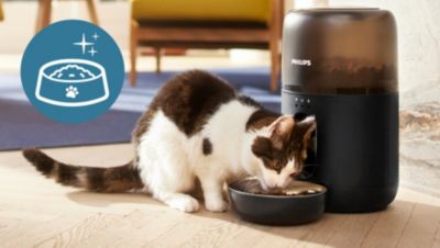 Värskus igas suutäies