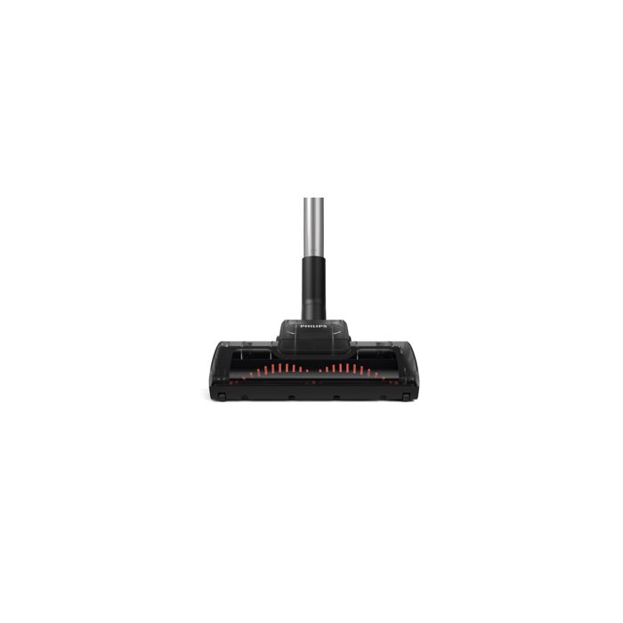 Nettoie en profondeur moquettes et tapis pour éliminer les poils
