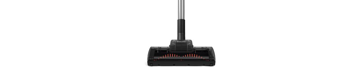 Nettoie en profondeur moquettes et tapis pour éliminer les poils