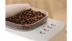 Frische Bohnen sind am besten.