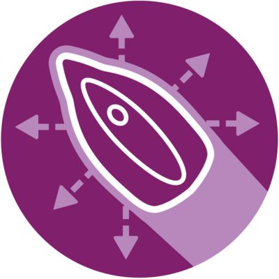 10% faster ironing with PerfectFlow*