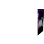 Ainuke triikraud, mis teab, mida te triigite