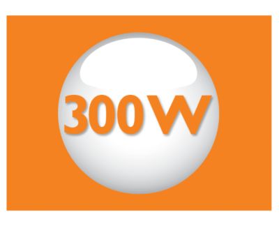 Powerful 300 W motor
