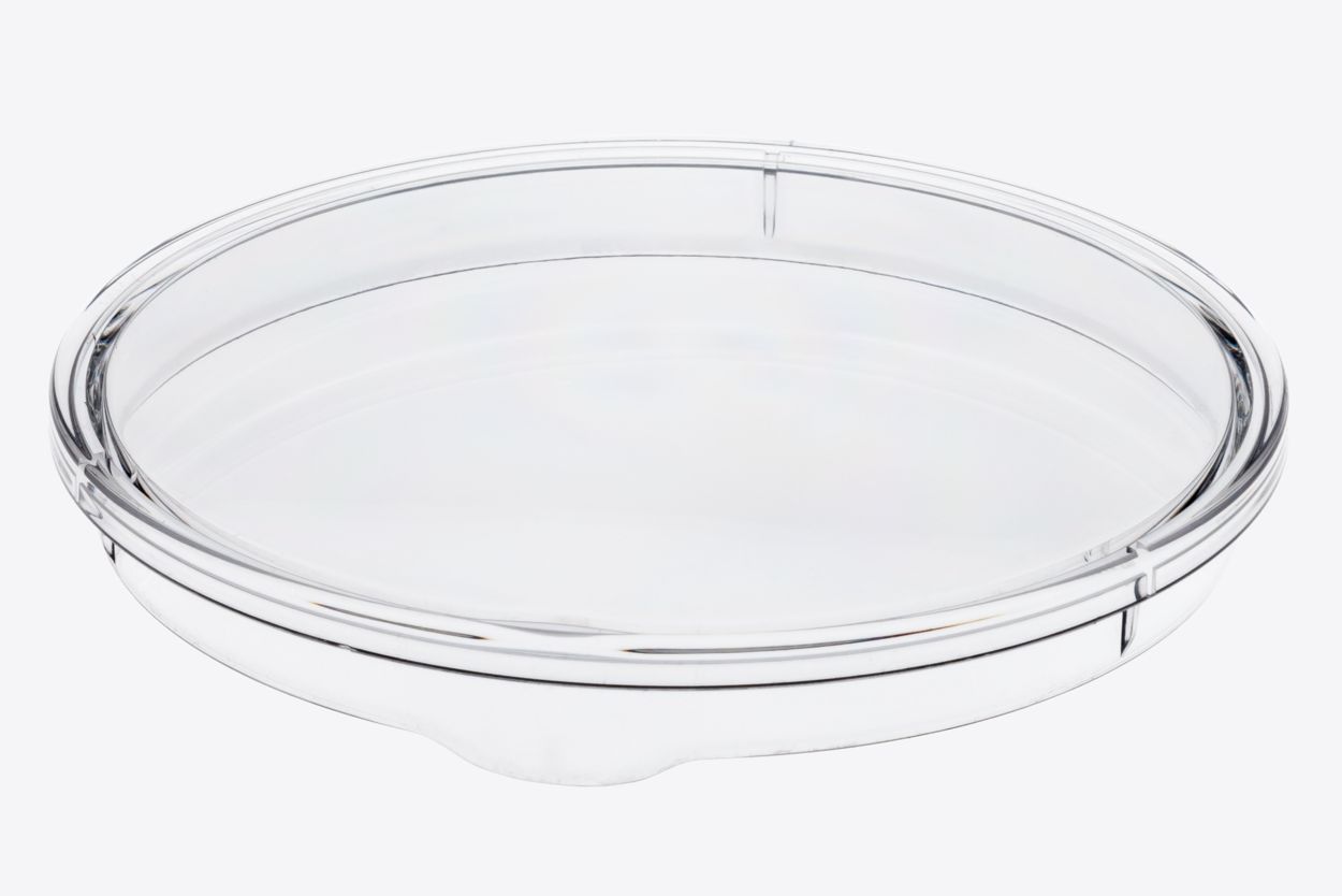Lid for water tank