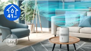 Efficace dans des pi&egrave;ces jusqu'&agrave; 41 m&sup2; avec 275 ml/h