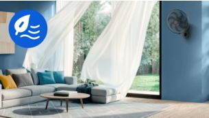 Feel the Outdoors, Indoors