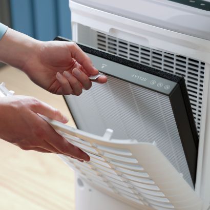 Popolna vlažnost in čist zrak – z eno napravo