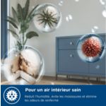 Remplacez les odeurs de renfermé par d'agréables senteurs.