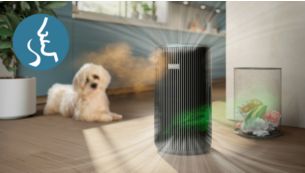 F&auml;ngt Ger&uuml;che und gasf&ouml;rmige Schadstoffe ein