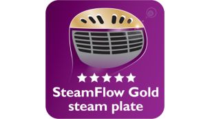 SmartFlow Gold steam plate for great results