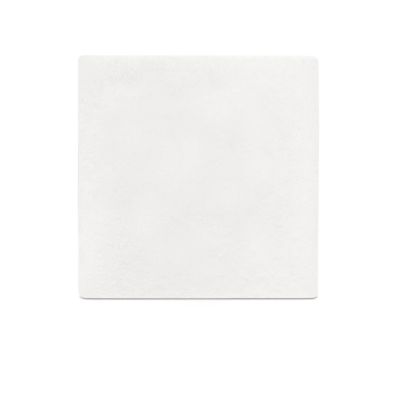 Mootori sissevoolufilter (švamm)