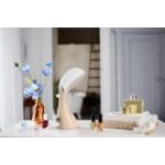 Most powerful steam for quicker results every day