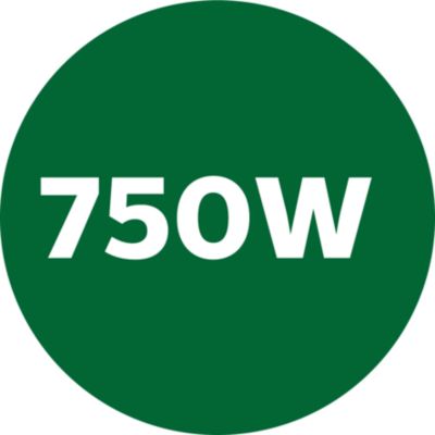 Powerful 750W Turbo motor