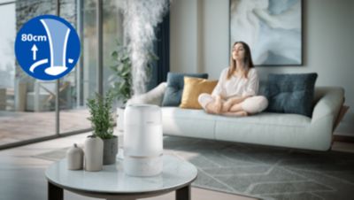 Sky High Mist – para uma distribuição mais uniforme da umidade