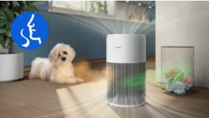 Wychwytuje nieprzyjemne zapachy i gazy