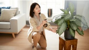1 级防霉认证*