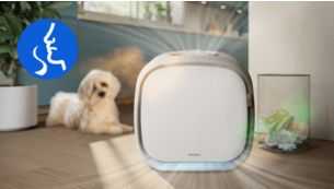 Khử m&ugrave;i th&uacute; cưng hiệu quả