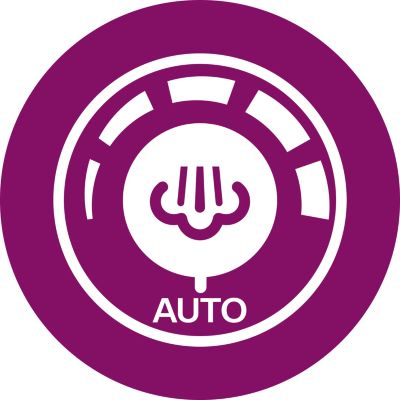 Automatinis garų reguliatorius – reikiamas garų kiekis kiekvienam drabužiui