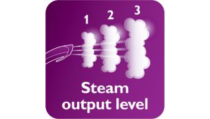 3 steam levels including ECO mode