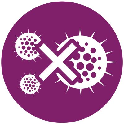 Continuous steam removes odours and kills 99.9%* of bacteria