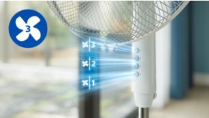 Customize your comfort with adjustable speeds