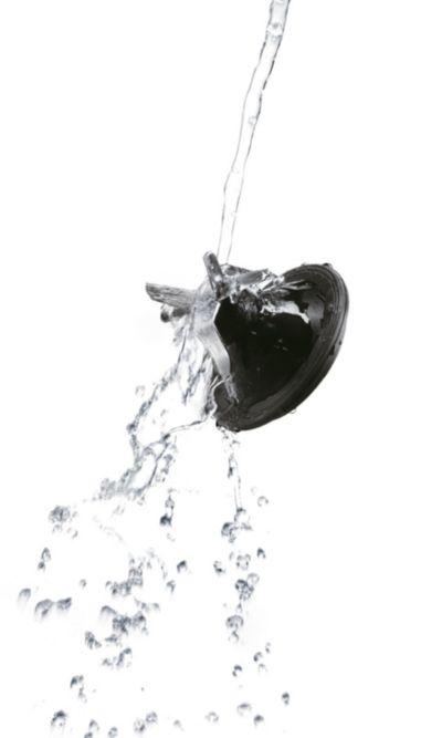 Lâmina removível fácil de limpar