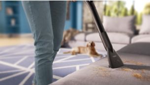 Furniture nozzle to clean couches, cushions and pet hair