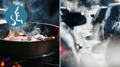 Kokuları ve kirletici gazları hapseder