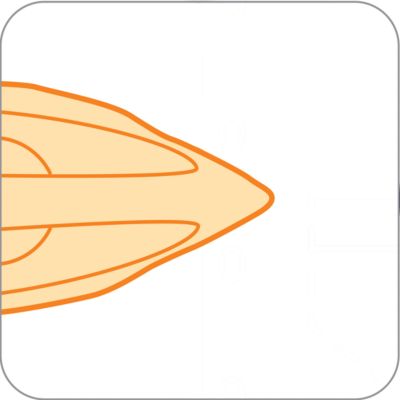 Slim-tip soleplate reaches easily into tricky areas