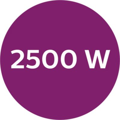 2500 W – greitai įkaista ir veiksmingai lygina